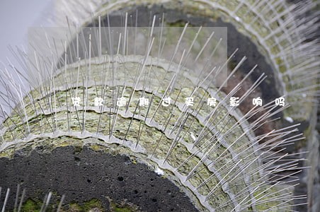 贷款逾期过买房影响吗 贷款逾期过买房影响吗