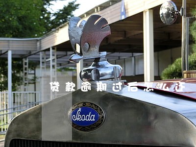 贷款逾期过后怎么还 贷款逾期过后怎么还