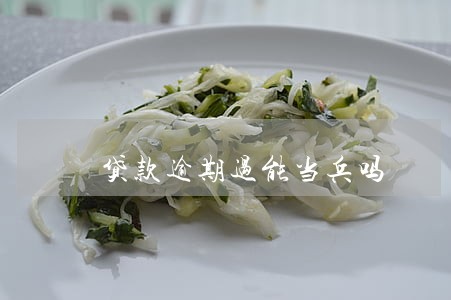 贷款逾期过能当兵吗 贷款逾期过能当兵吗
