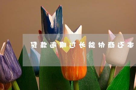 贷款逾期过长能协商还本金吗