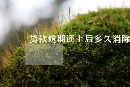 贷款逾期还上后多久消除 贷款逾期还上后多久消除