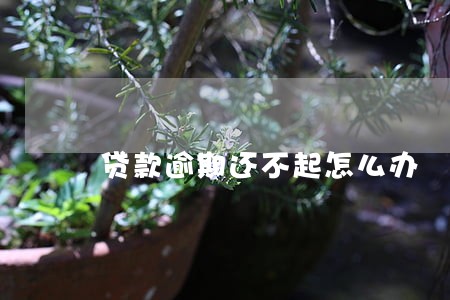 贷款逾期还不起怎么办 贷款逾期还不起怎么办
