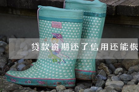 贷款逾期还了信用还能恢复吗 贷款逾期还了信用还能恢复吗