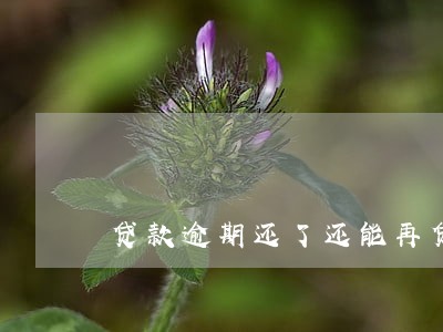 贷款逾期还了还能再贷款吗 贷款逾期还了还能再贷款吗