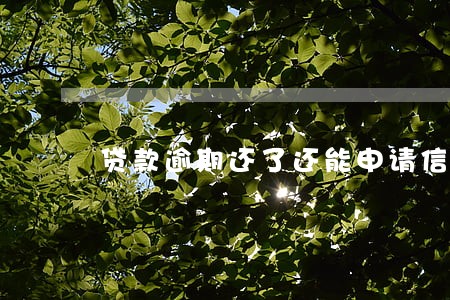 贷款逾期还了还能申请信用卡吗 贷款逾期还了还能申请信用卡吗