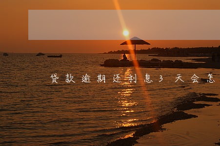 贷款逾期还利息3天会怎样 贷款逾期还利息3天会怎样
