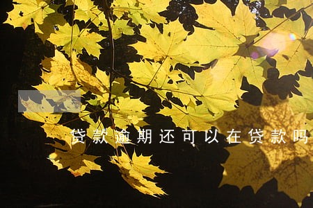 贷款逾期还可以在贷款吗 贷款逾期还可以在贷款吗