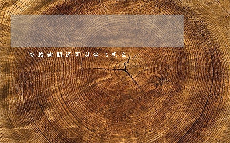 贷款逾期还可以坐飞机么 贷款逾期还可以坐飞机么