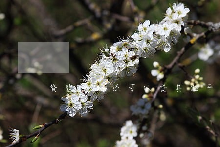 贷款逾期还可以贷其他平台吗