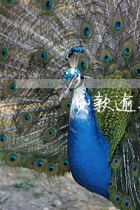 贷款逾期还收利息吗 贷款逾期还收利息吗