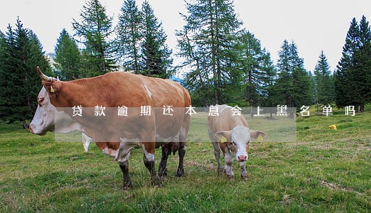贷款逾期还本息会上黑名单吗 贷款逾期还本息会上黑名单吗