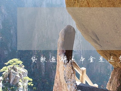 贷款逾期还本金是还多少钱 贷款逾期还本金是还多少钱