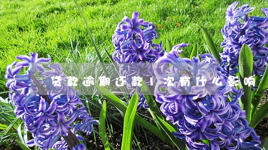 贷款逾期还款1次有什么影响 贷款逾期还款1次有什么影响