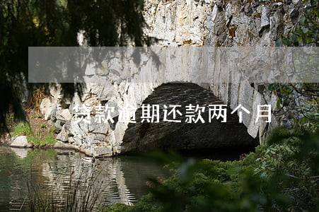 贷款逾期还款两个月 贷款逾期还款两个月