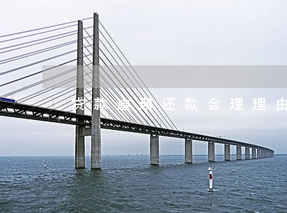 贷款逾期还款合理理由 贷款逾期还款合理理由