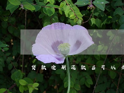 贷款逾期还款后可以当兵吗 贷款逾期还款后可以当兵吗