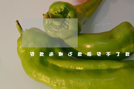 贷款逾期还款后贷不了款吗 贷款逾期还款后贷不了款吗