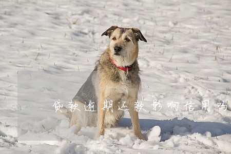 贷款逾期还款影响信用吗 贷款逾期还款影响信用吗