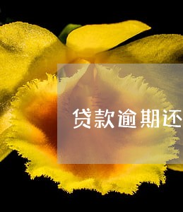 贷款逾期还款怎么通知银行 贷款逾期还款怎么通知银行