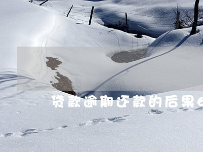 贷款逾期还款的后果6