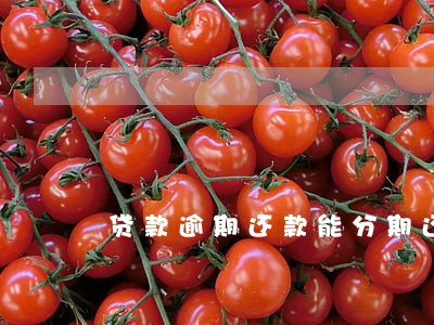 贷款逾期还款能分期还款吗 贷款逾期还款能分期还款吗