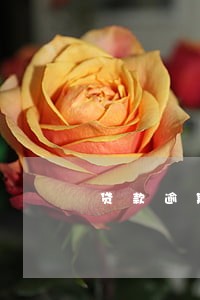 贷款逾期还款转账 贷款逾期还款转账