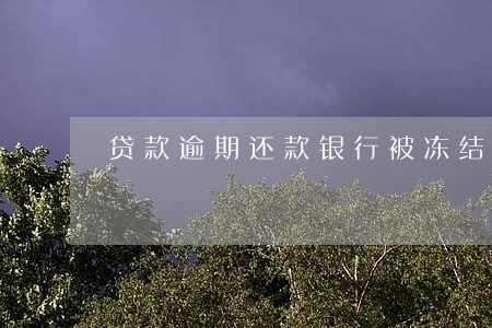 贷款逾期还款银行被冻结 贷款逾期还款银行被冻结