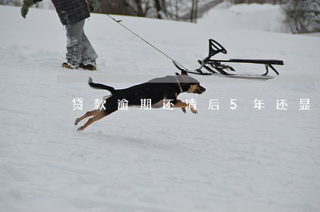 贷款逾期还清后5年还显示 贷款逾期还清后5年还显示