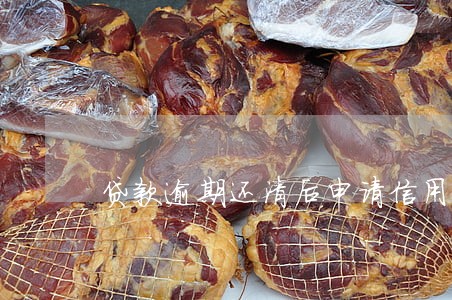 贷款逾期还清后申请信用卡 贷款逾期还清后申请信用卡