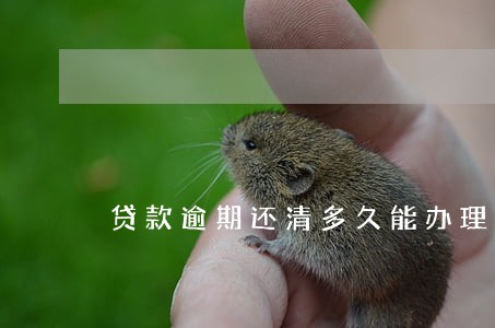 贷款逾期还清多久能办理房贷 贷款逾期还清多久能办理房贷
