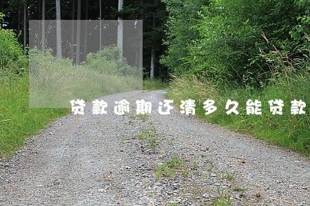 贷款逾期还清多久能贷款 贷款逾期还清多久能贷款