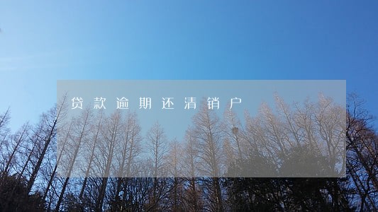 贷款逾期还清销户 贷款逾期还清销户