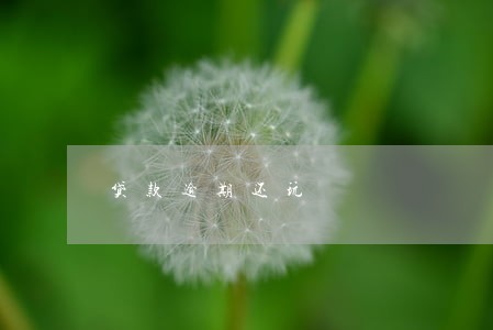 贷款逾期还玩 贷款逾期还玩