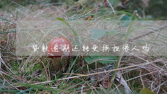 贷款逾期还能更换担保人吗 贷款逾期还能更换担保人吗