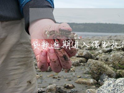 贷款逾期进入强制执行阶段 贷款逾期进入强制执行阶段