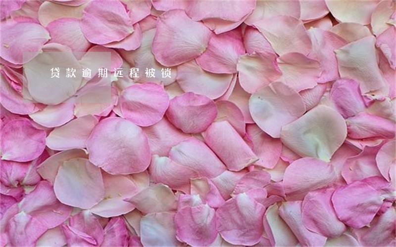 贷款逾期远程被锁