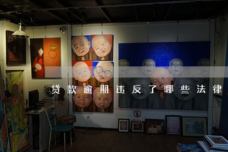 贷款逾期违反了哪些法律