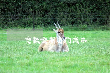 贷款逾期违约成本 贷款逾期违约成本