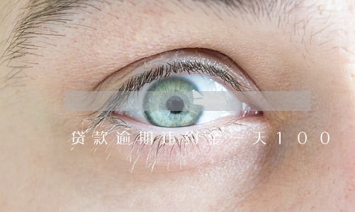 贷款逾期违约金一天100 贷款逾期违约金一天100