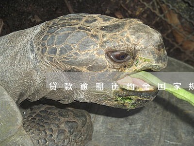 贷款逾期违约金国家规定 贷款逾期违约金国家规定