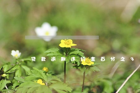 贷款逾期违约金百分之3 贷款逾期违约金百分之3