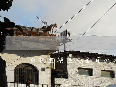 贷款逾期违约金百分之5 贷款逾期违约金百分之5