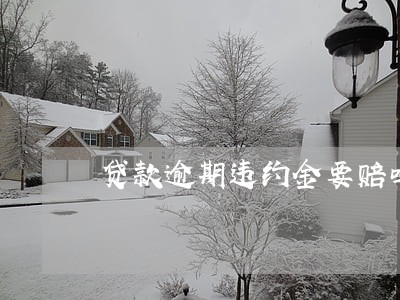 贷款逾期违约金要赔吗 贷款逾期违约金要赔吗