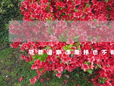 贷款逾期连高铁也不能坐了吗 贷款逾期连高铁也不能坐了吗