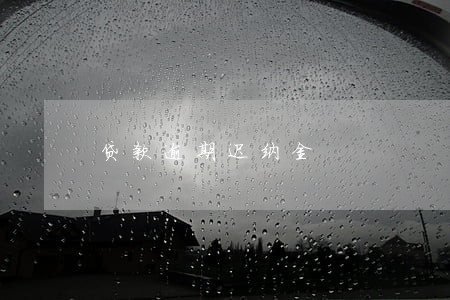 贷款逾期迟纳金 贷款逾期迟纳金