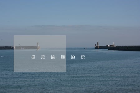 贷款逾期追偿 贷款逾期追偿