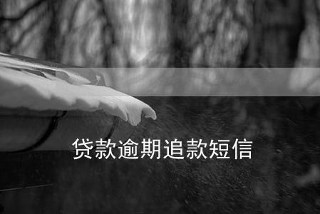 贷款逾期追款短信 贷款逾期追款短信