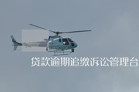 贷款逾期追缴诉讼管理台账 贷款逾期追缴诉讼管理台账