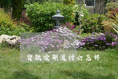 贷款逾期追讨会怎样 贷款逾期追讨会怎样
