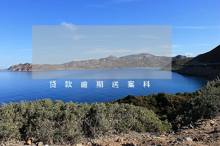 贷款逾期送案科 贷款逾期送案科